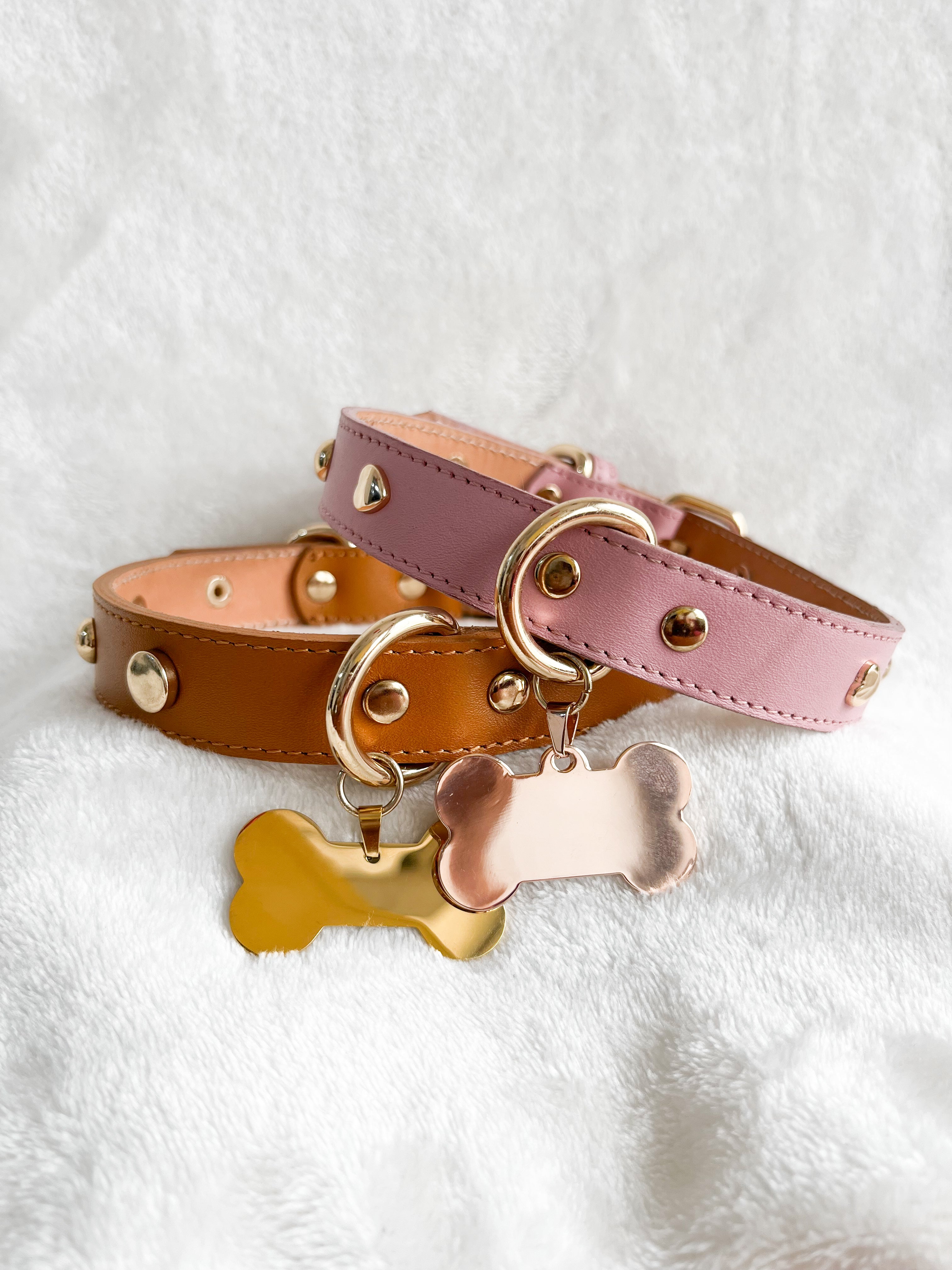 COLLAR Camel + PLACA