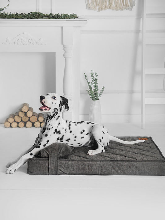 CAMA STRADA GRIS