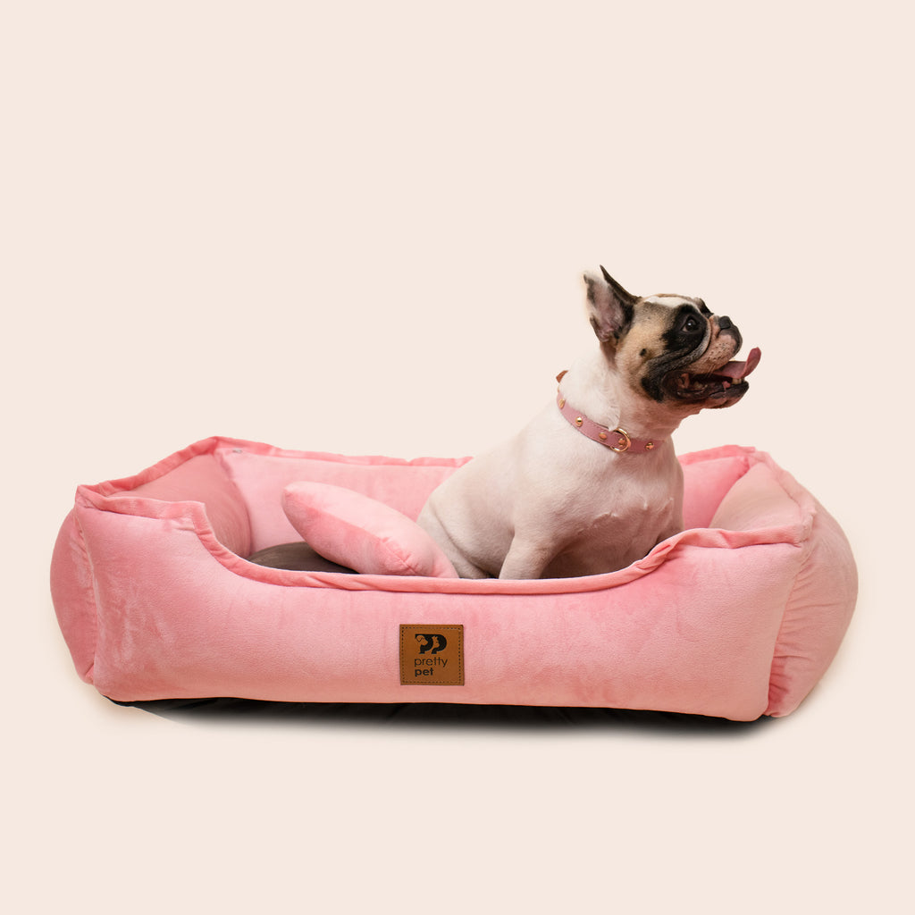CAMA BUNNY