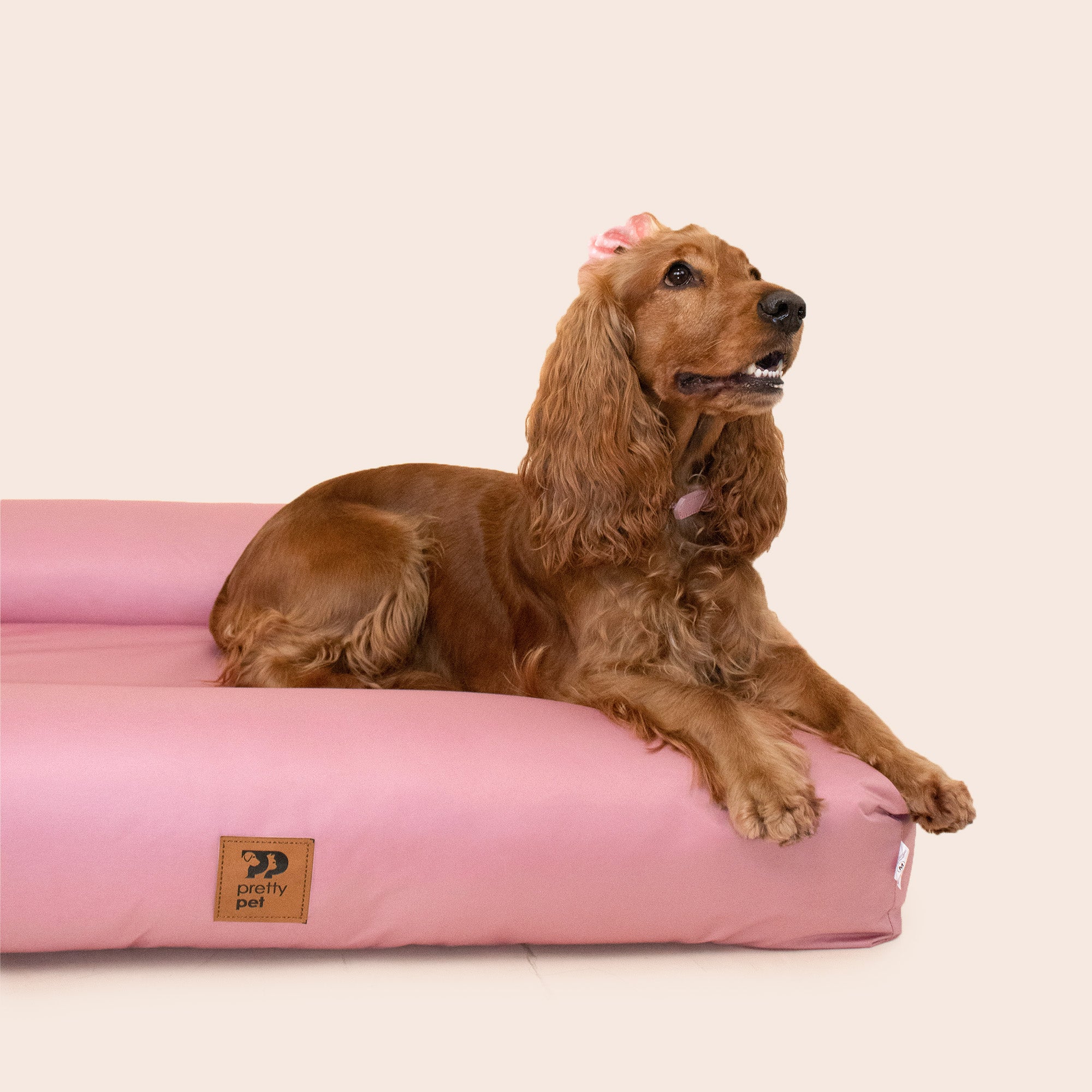 CAMA DRYPUP · IMPERMEABLE