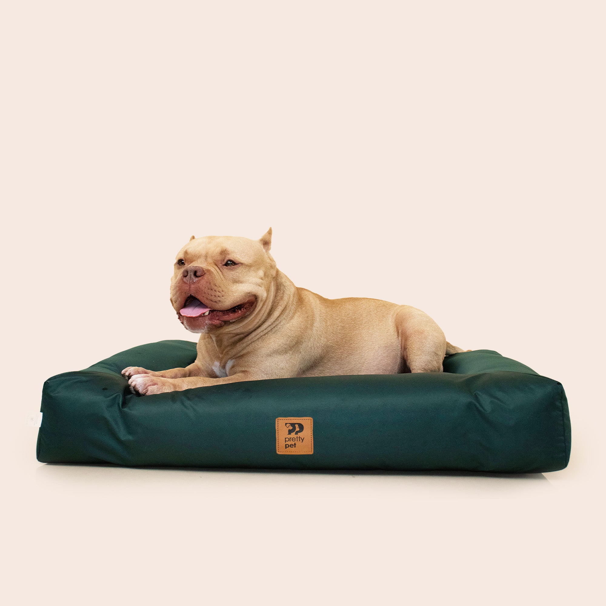 CAMA DRYPUP · IMPERMEABLE