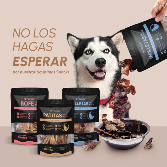 Snack Perros | PACK 3 UNID