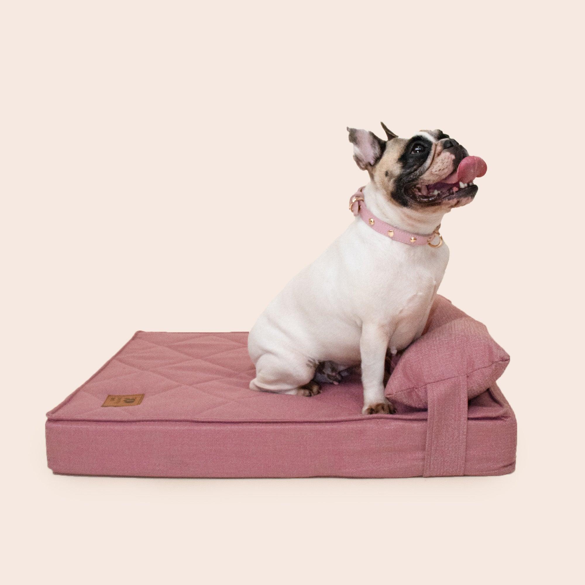 CAMA STRADA