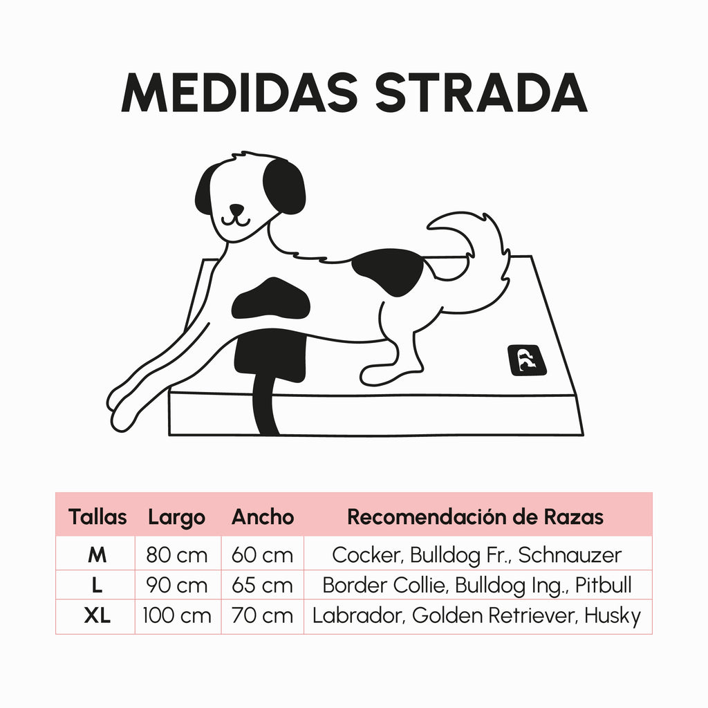 CAMA STRADA